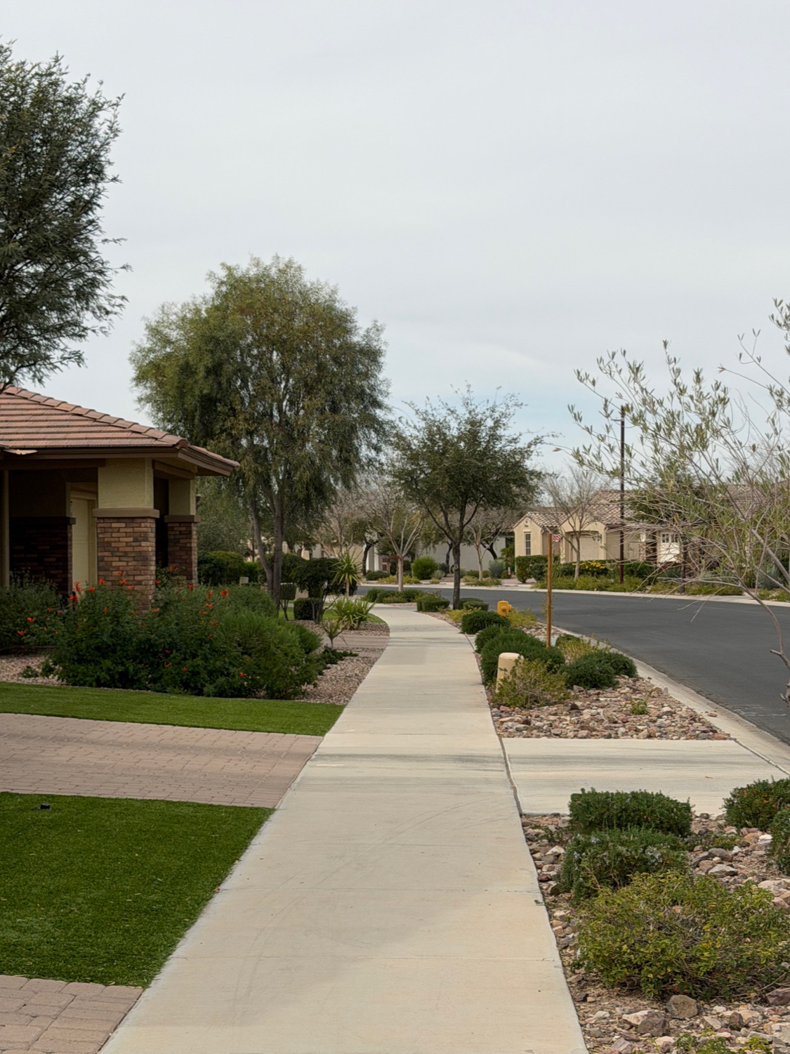  Residential neighborhood in Mesa, Arizona with sidewalks and mature landscaping.