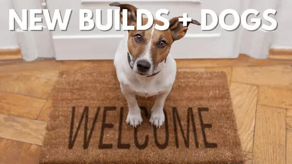 Why New Builds Are Perfect for Busy People with Dogs
