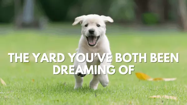 Your Dog Deserves a House Too: 5 Signs You’re Ready to Buy
