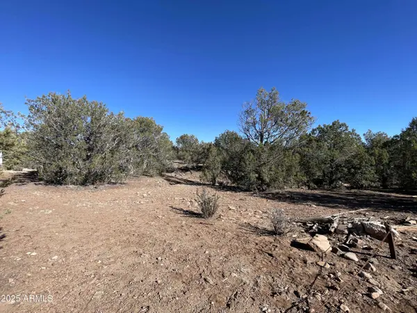 Cattle Drive #160, Williams, AZ 86046