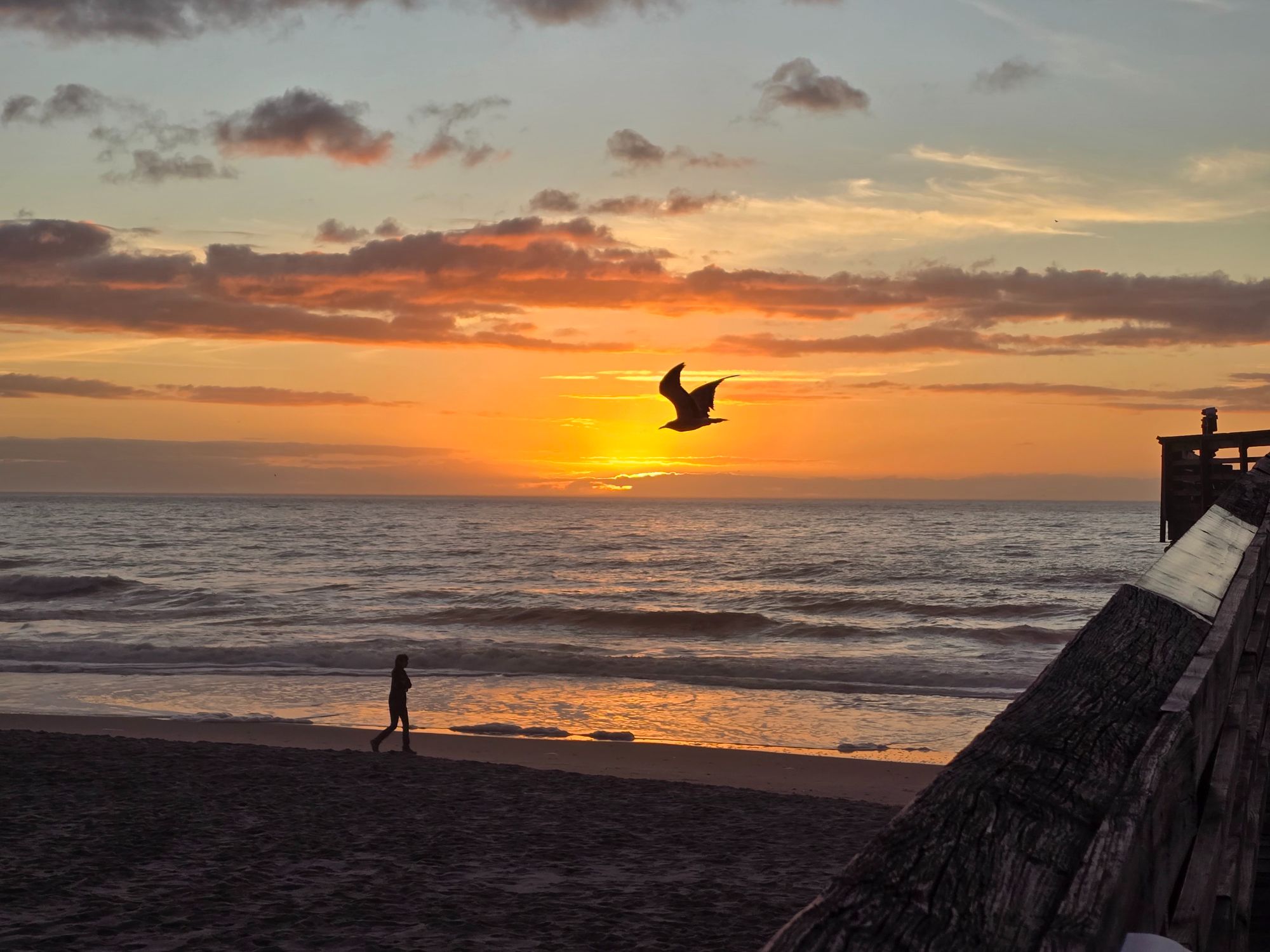 blog banner