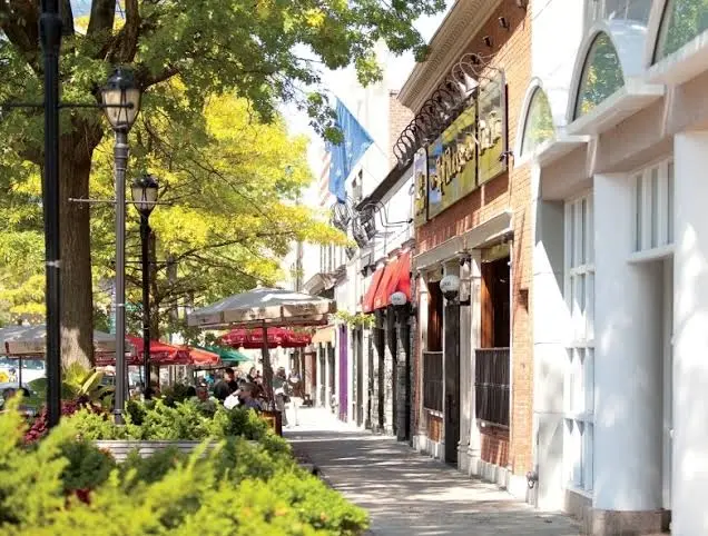White Plains