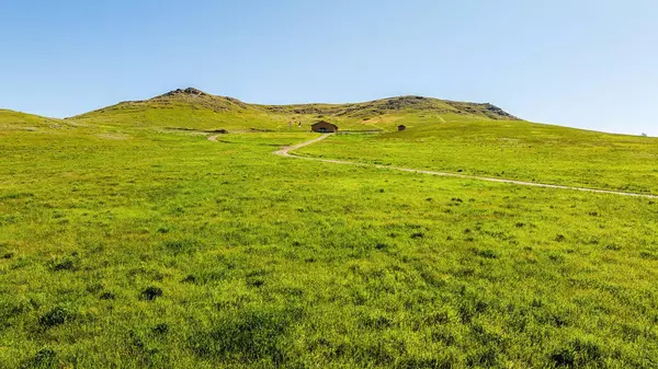 133 St Hwy 345, Parkman, WY 82838