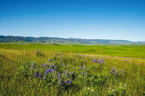 133 St Hwy 345, Parkman, WY 82838