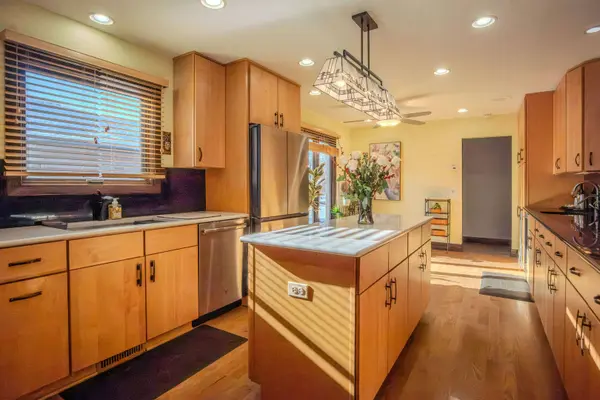 917 Tamer LN, Glenview, IL 60025