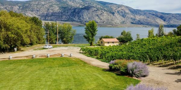 feature image of Osoyoos Condos &amp; Townhomes – Market Snapshot (June 2025)