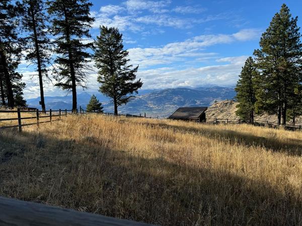 feature image of Anarchist Mountain Market Snapshot – Homes Sold &amp; For Sale (June 2025)