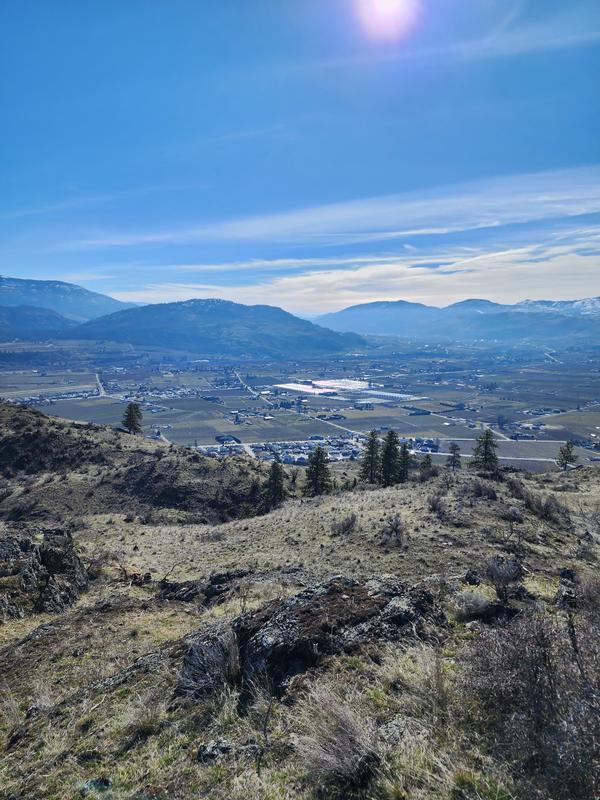feature image of Moving to Oliver, BC? Here's Everything You Need to Know about Oliver