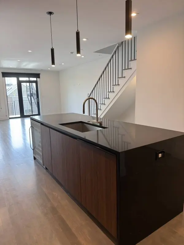 719 N Elizabeth ST #3N, Chicago, IL 60642