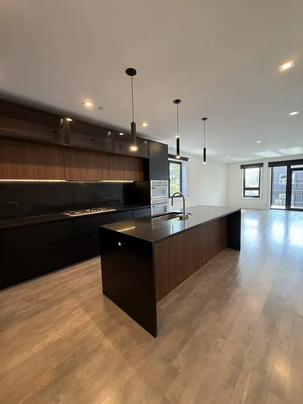 719 N Elizabeth ST #3N, Chicago, IL 60642