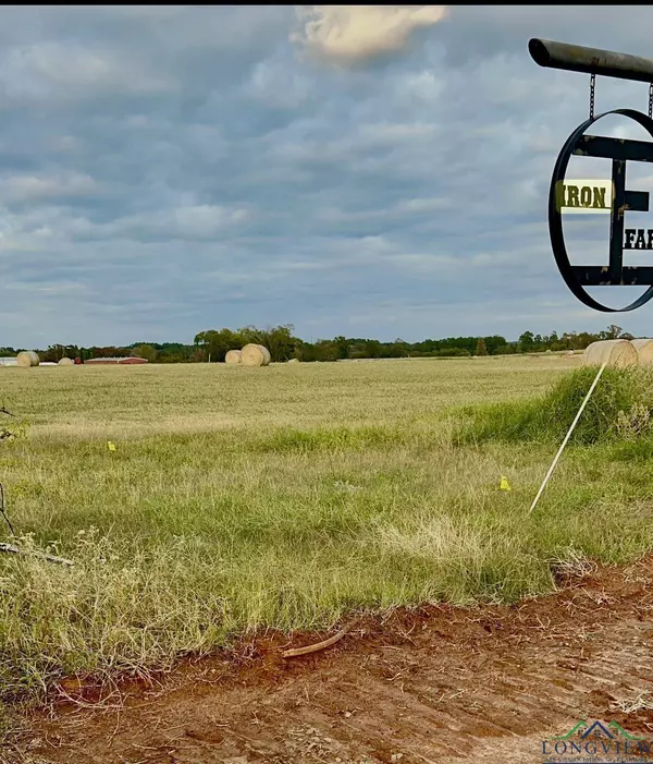 145 Brightside Tr, Kilgore, TX 75662