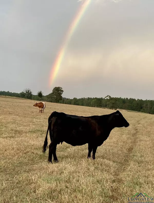 145 Brightside Tr, Kilgore, TX 75662