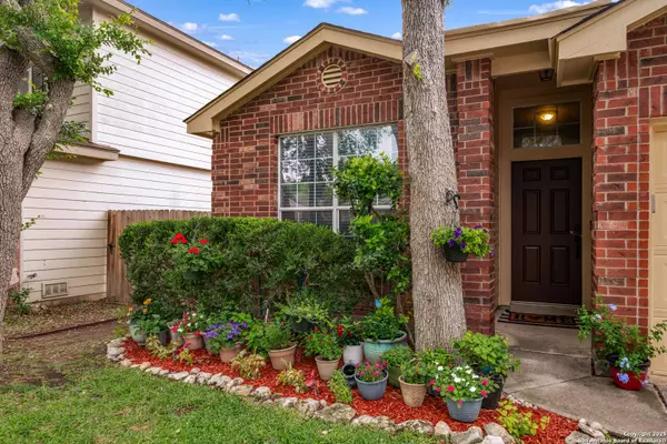 17046 Ashbury Lodge, San Antonio, TX 78247