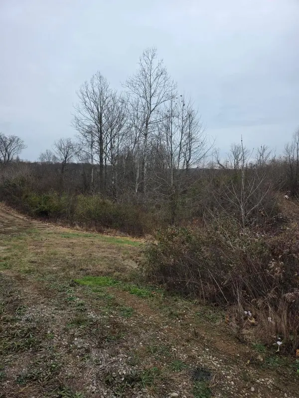 31166 Edmundson Road, Vinton, OH 45686