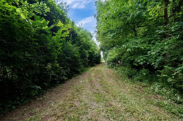 4004 Sintz Road, Springfield, OH 45504