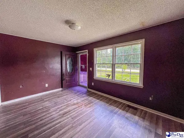 140 Magnolia Dr, Hemingway, SC 29554