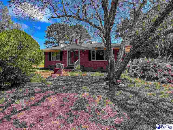 4701 Horace Matthews Rd, Effingham, SC 29541-3601