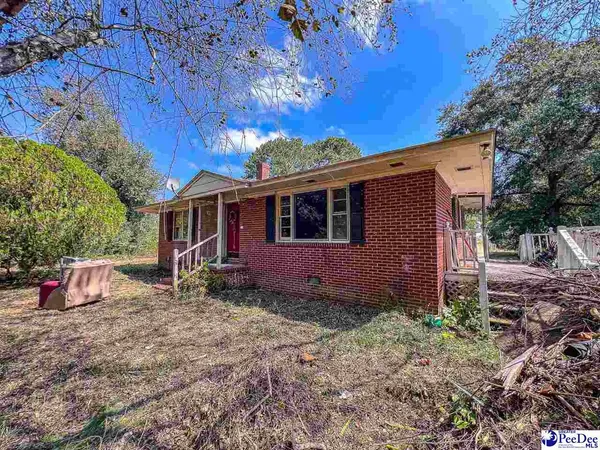 4701 Horace Matthews Rd, Effingham, SC 29541-3601
