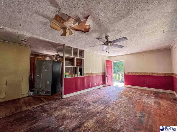 4701 Horace Matthews Rd, Effingham, SC 29541-3601