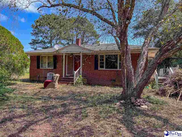 4701 Horace Matthews Rd, Effingham, SC 29541-3601