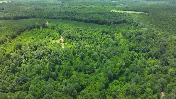 3528 County Rd 44, Autaugaville, AL 36003
