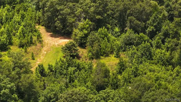 3528 County Rd 44, Autaugaville, AL 36003