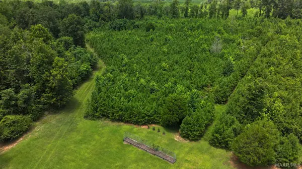 3528 County Rd 44, Autaugaville, AL 36003