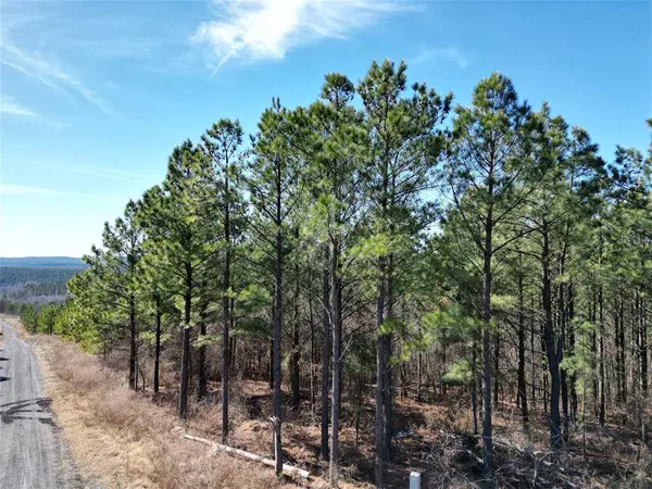 484 Lukfata Fork TRL, Broken Bow, OK 74728