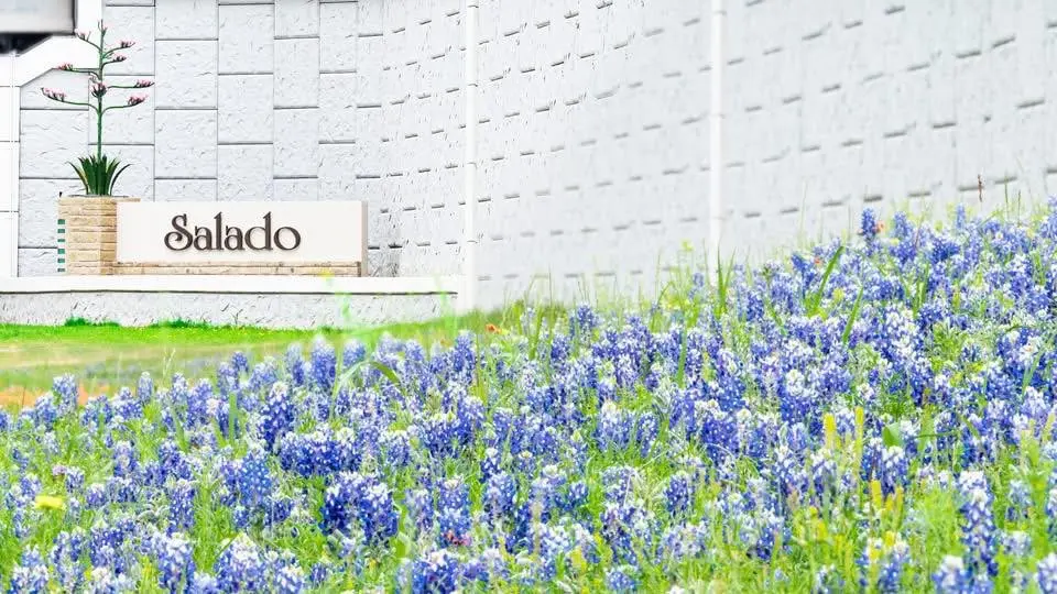 Salado