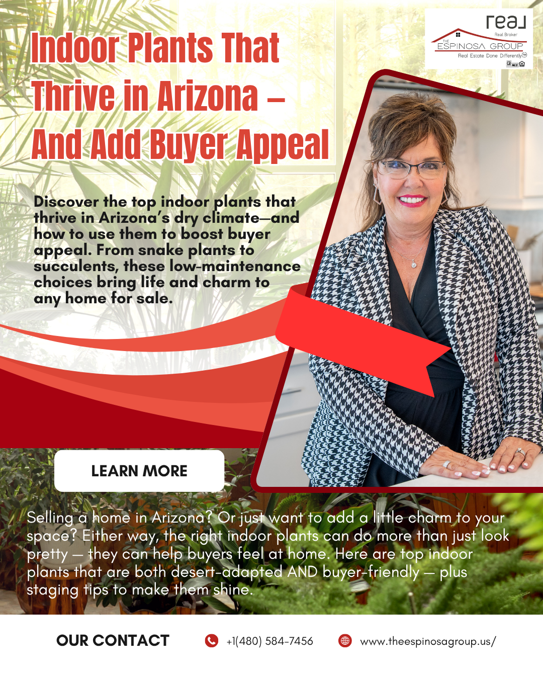Indoor Plants That Thrive in Arizona — And Add Buyer Appeal