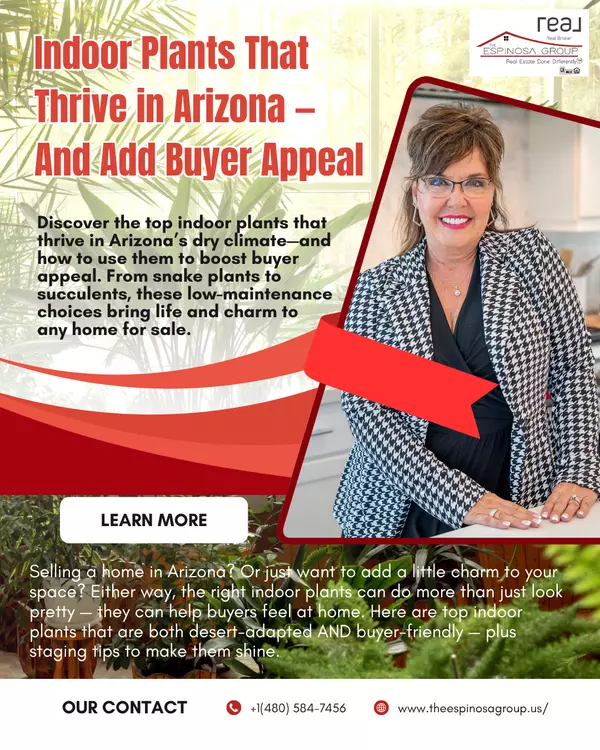 Indoor Plants That Thrive in Arizona — And Add Buyer Appeal