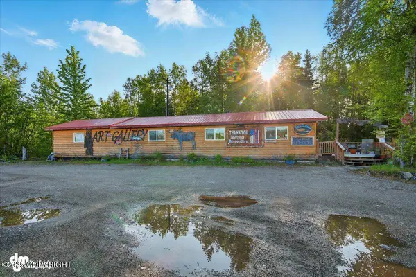 31391 W Parks Hwy, Willow, AK 99688