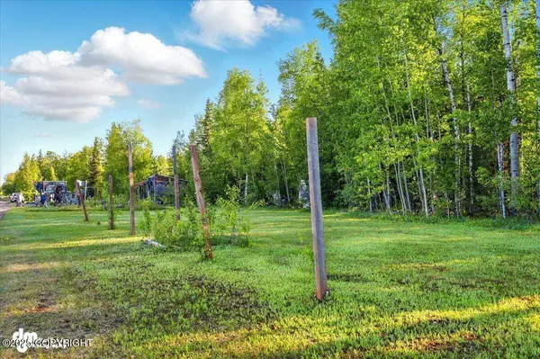 31391 W Parks Hwy, Willow, AK 99688