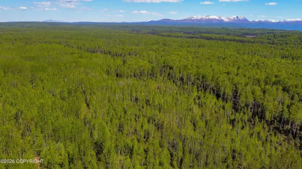 NHN No Road Name, Willow, AK 99688