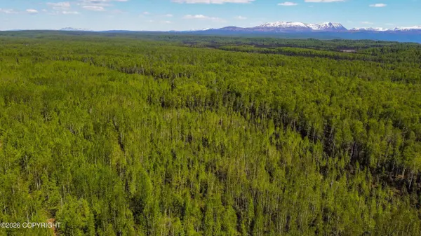 NHN No Road Name, Willow, AK 99688