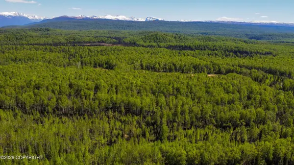 NHN No Road Name, Willow, AK 99688