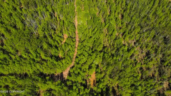 NHN No Road Name, Willow, AK 99688