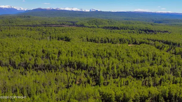 NHN No Road Name, Willow, AK 99688