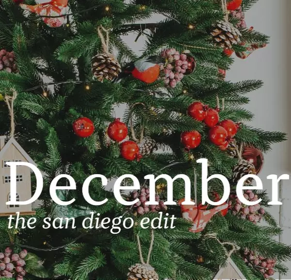 Celebrating a Coastal Christmas & Baby Month! J&J's December Newsletter