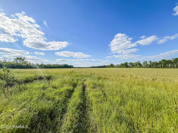 1111 Lion Castille RD, Breaux Bridge, LA 70517