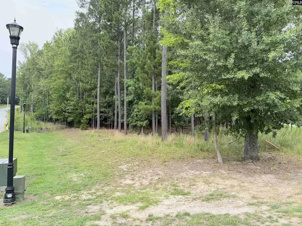 Lot 136 Stewart Landing Drive #136, Prosperity, SC 29167