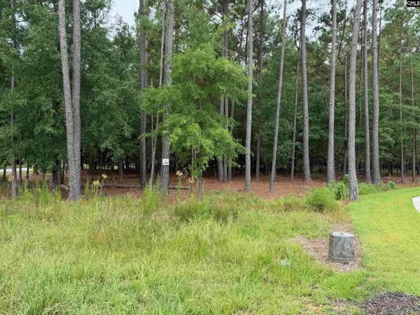 Lot 136 Stewart Landing Drive #136, Prosperity, SC 29167