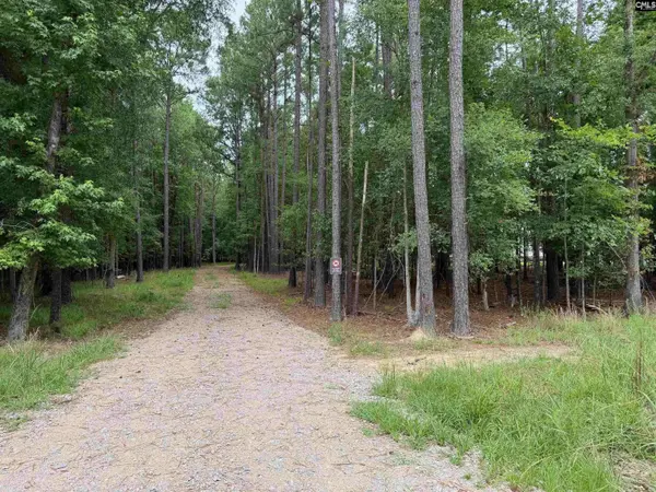 Lot 136 Stewart Landing Drive #136, Prosperity, SC 29167