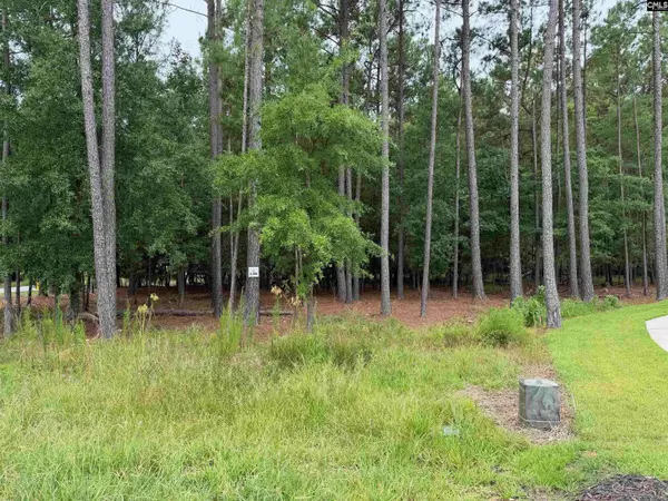 Lot 136 Stewart Landing Drive #136, Prosperity, SC 29167
