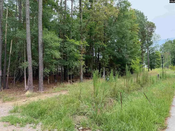 Lot 136 Stewart Landing Drive #136, Prosperity, SC 29167