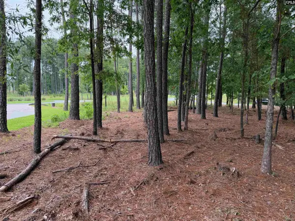 Lot 136 Stewart Landing Drive #136, Prosperity, SC 29167