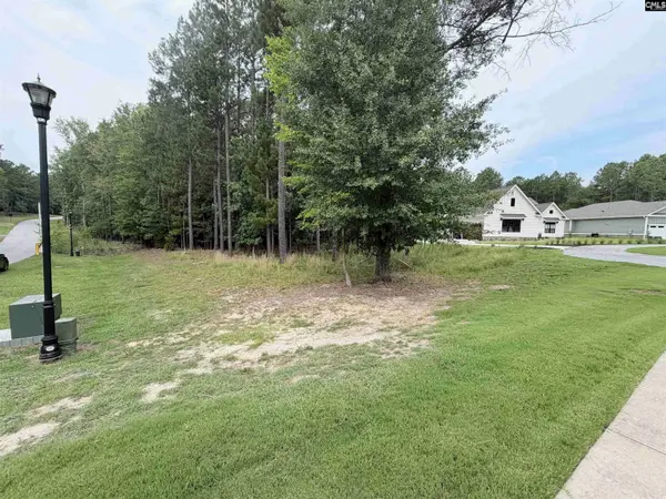 Lot 136 Stewart Landing Drive #136, Prosperity, SC 29167