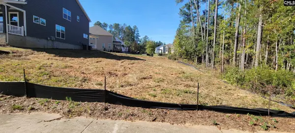 1005 Coogler Crossing Drive, Blythewood, SC 29016