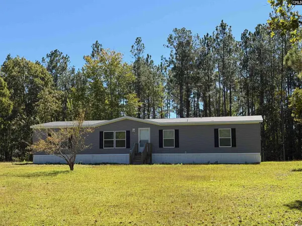 160 Hollow Stump Road, Pelion, SC 29123