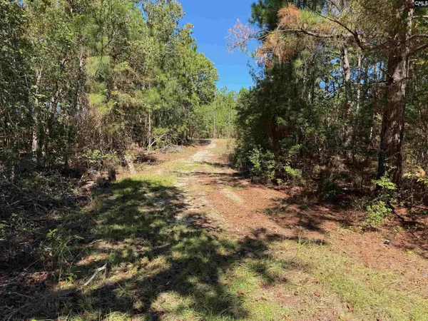 160 Hollow Stump Road, Pelion, SC 29123